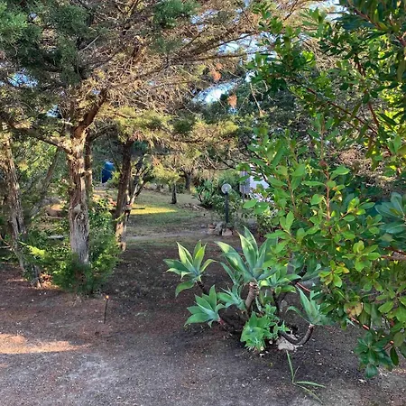 Grazioso In Casa Con Giardino Holiday home *