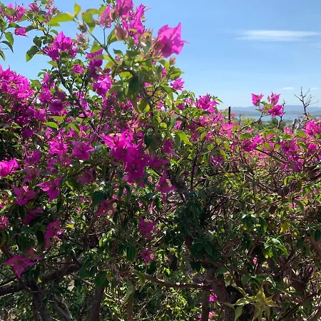 Grazioso In Casa Con Giardino Dom wakacyjny La Maddalena (Sassari)