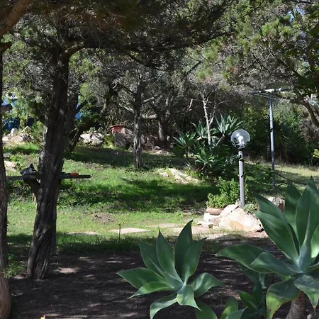 Grazioso In Casa Con Giardino